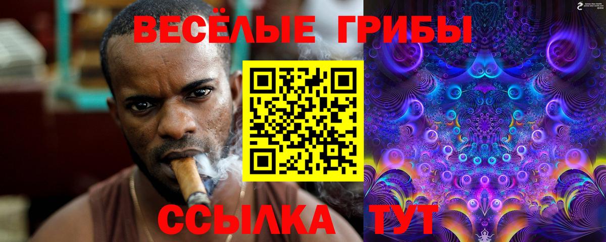 Псилоцибиновые грибы Cubensis  Вход с VPN  Якутск 