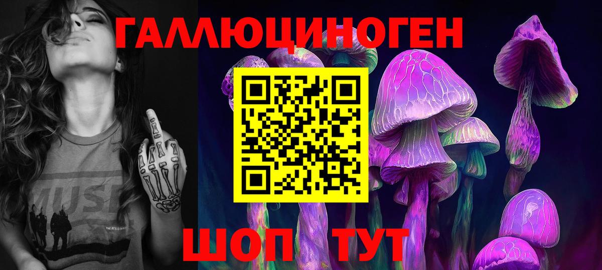 Псилоцибиновые грибы GOLDEN TEACHER Якутск
